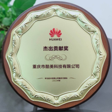 2020-華為(wèi)-傑出貢獻獎