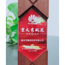 2023-華為(wèi)-重大(dà)貢獻獎