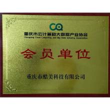 雲計(jì)算(suàn)大(dà)數(shù)據會(huì)員(yuán)單位